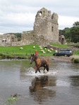 SX08661 Horse crossing river at Ogmore Castle stepping stones.jpg